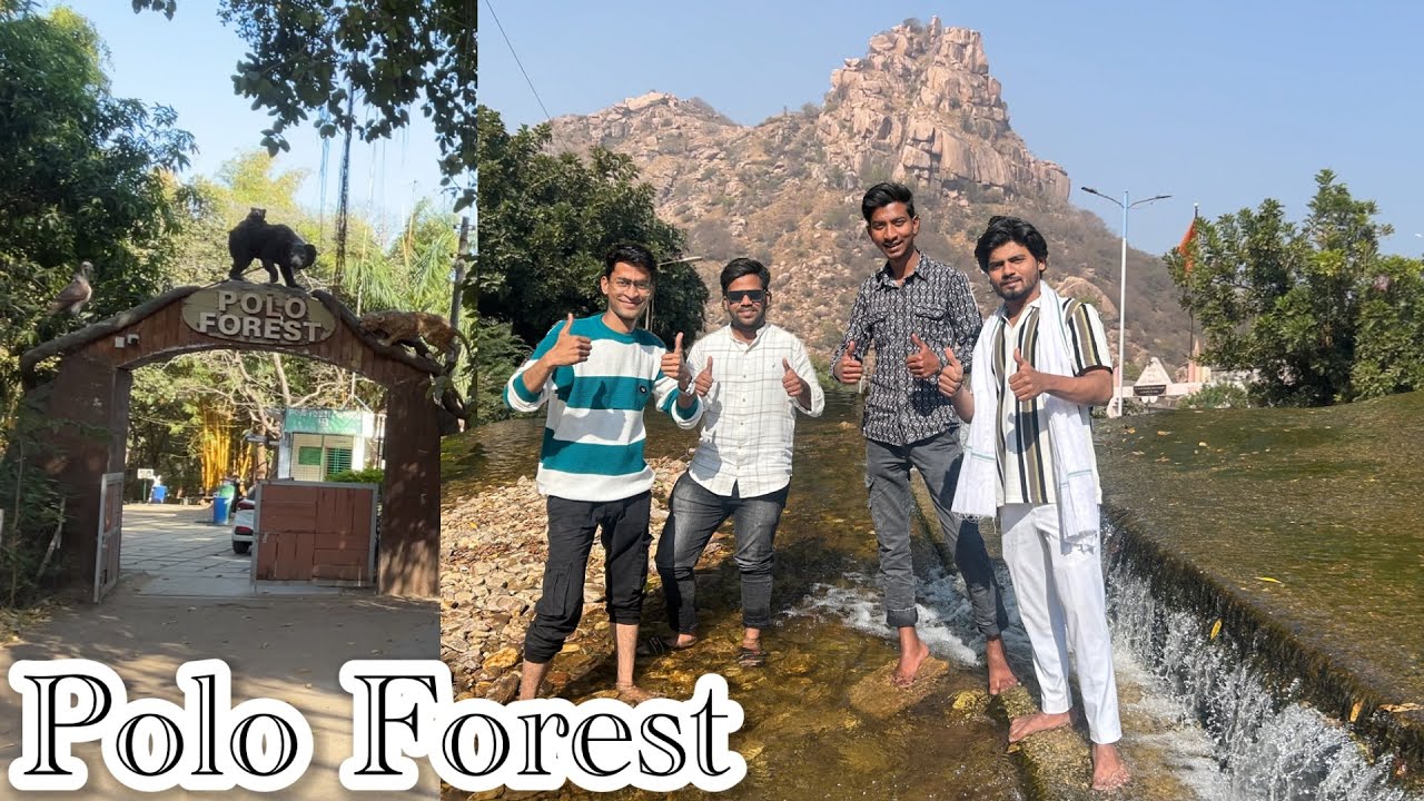 Polo Forest with Friends  | Road Trip Ahmedabad to polo Forest | 4ever