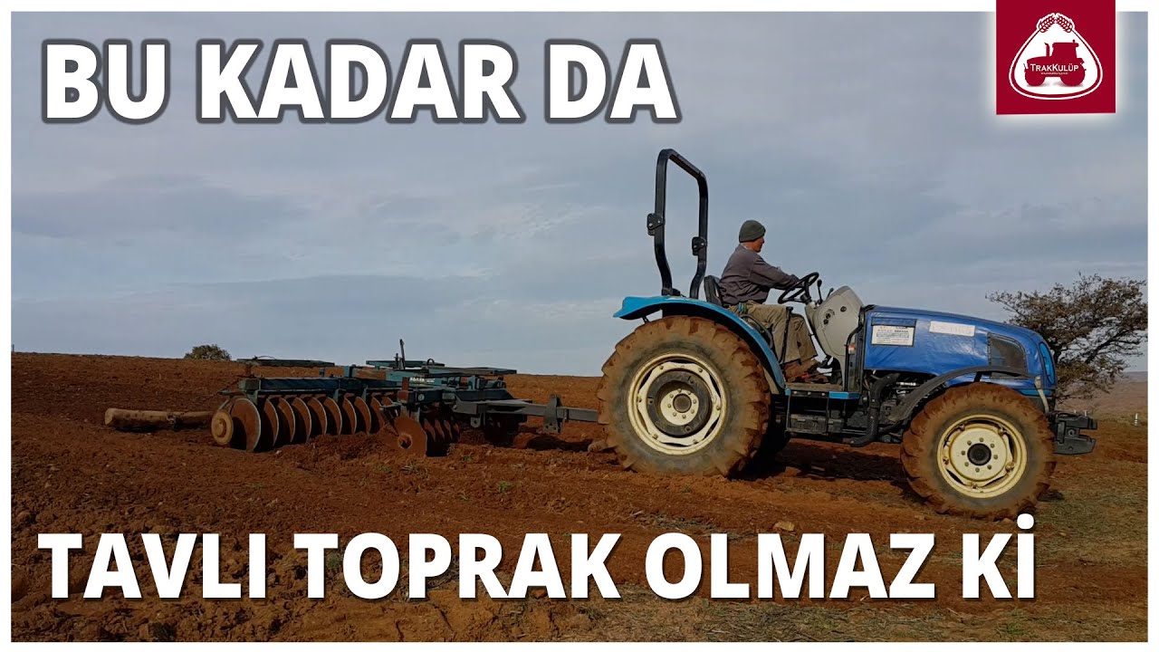Toprağın Tavı mı Çok İyi Yoksa Diskaro mu?