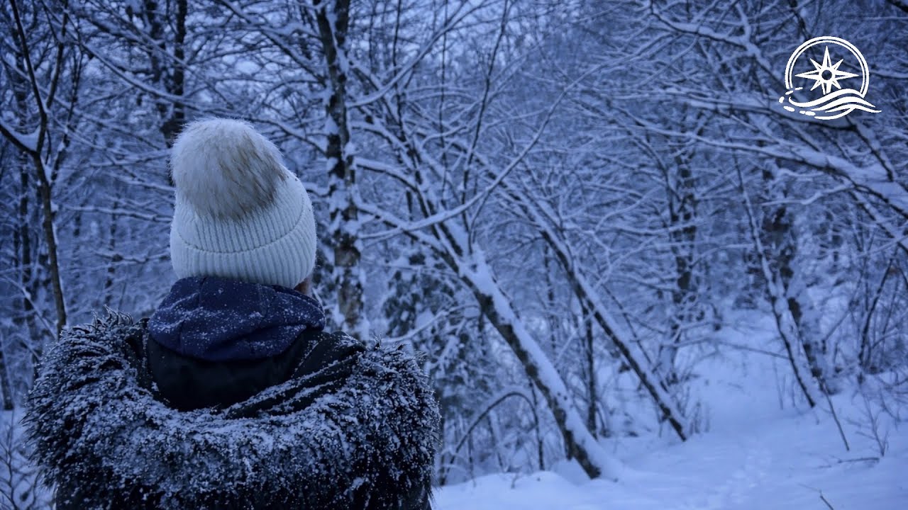 Quiet Winter Walk for Stress Relief ❄️ Magical Snowfall Ambience