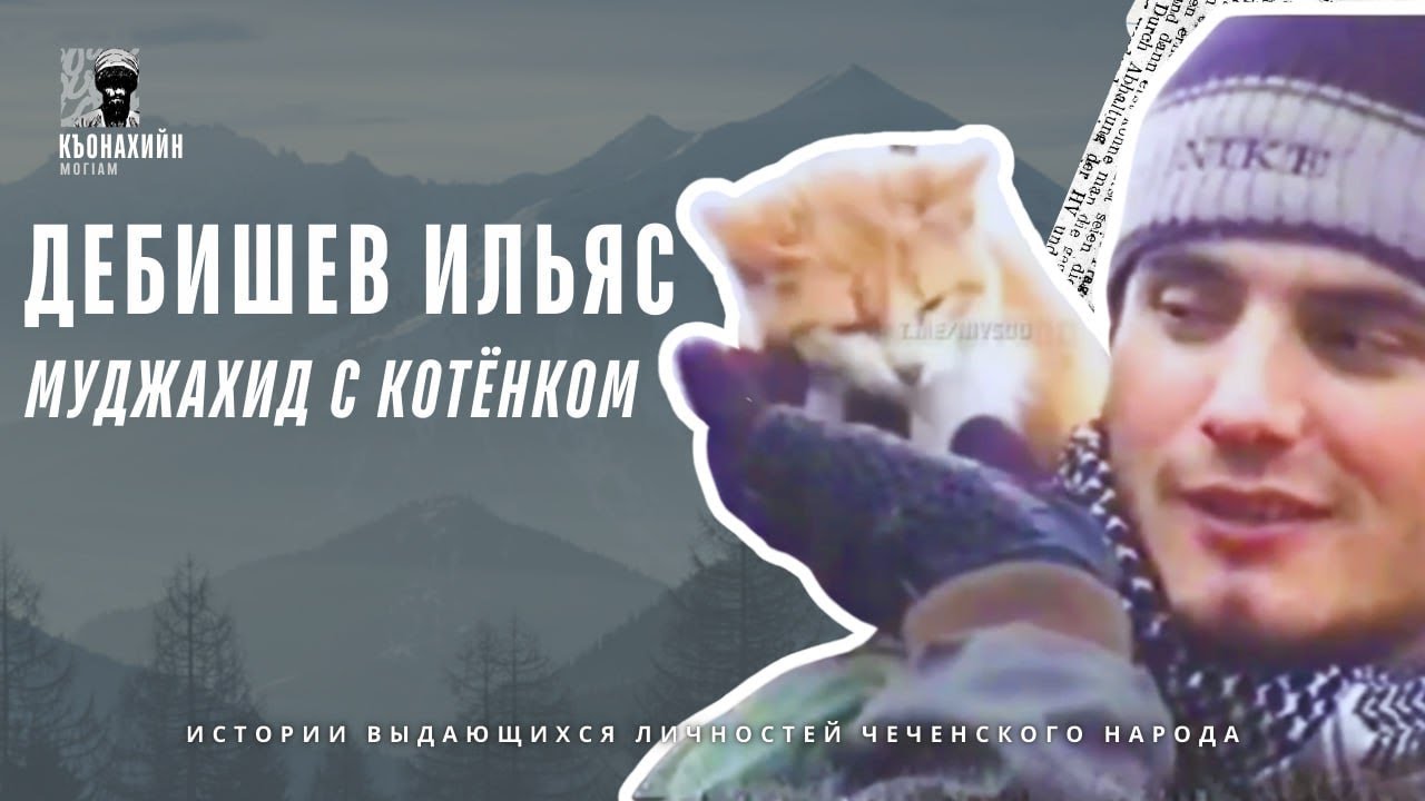 ДЕБИШЕВ ИЛЬЯС / Муджахид с котёнком | Къонахийн МогIам