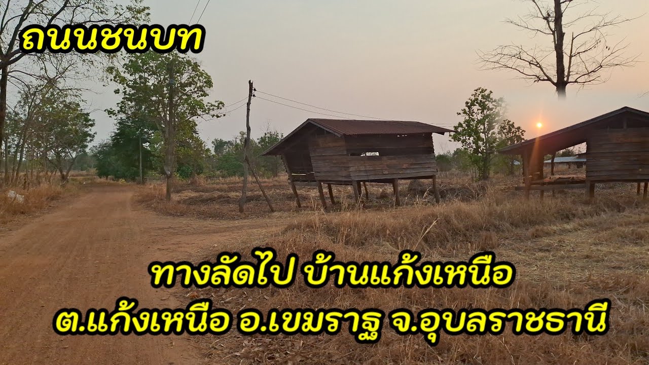 อ้ายเก่งพาเลาะบ้าน EP 65 ถนนชนบทอีสานยามแลงๆ ทางลัดไป บ.แก้งเหนือ ต.แก้งเหนือ อ.เขมราฐ จ.อุบลราชธานี