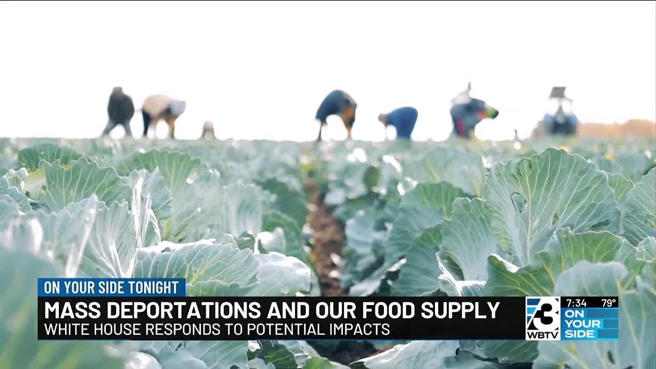 Mass deportations and our food supply