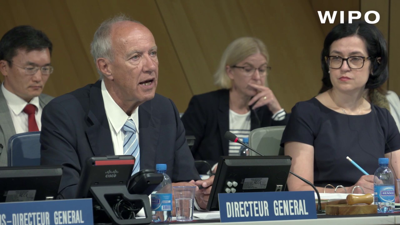 WIPO Director General Presents 2018/19 Program and Budget