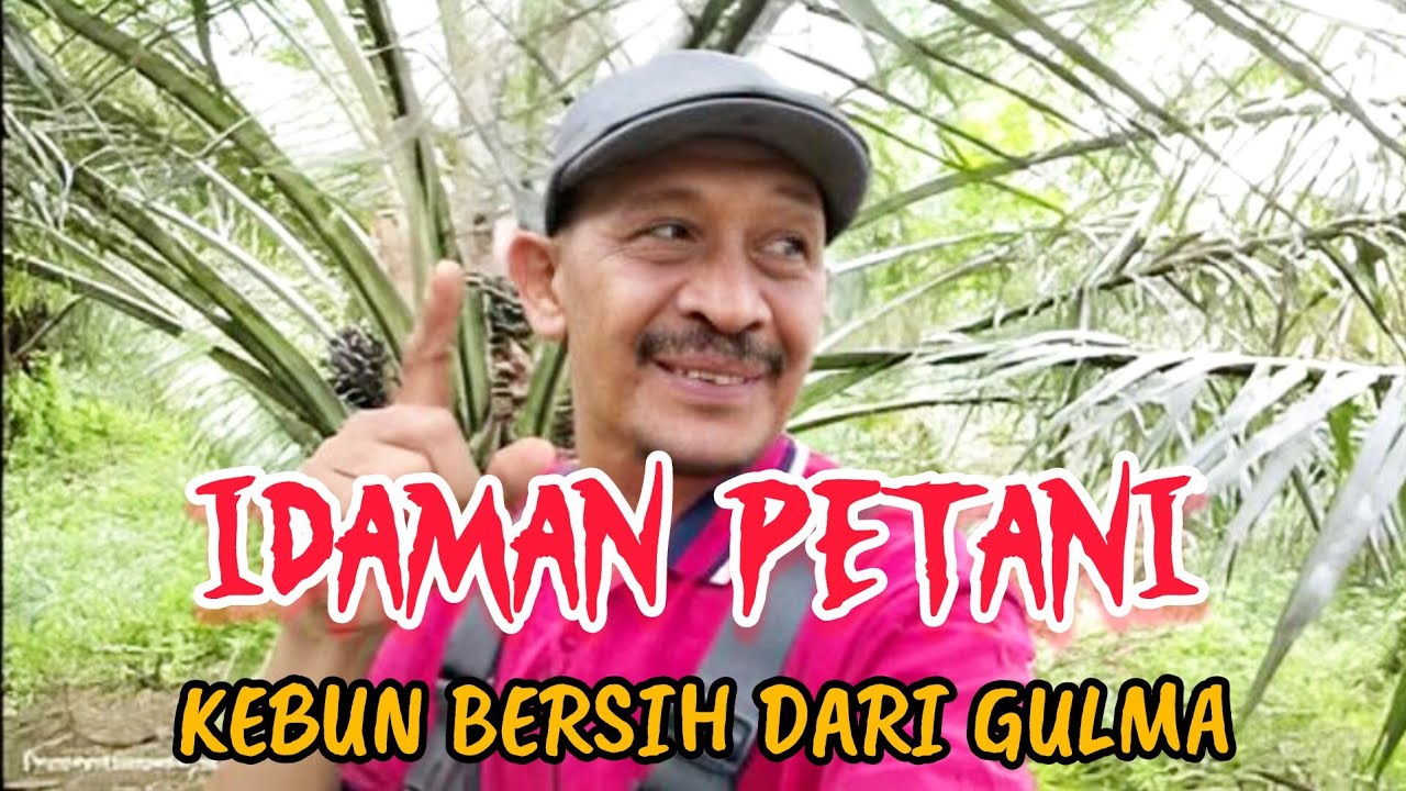Kebun idaman petani