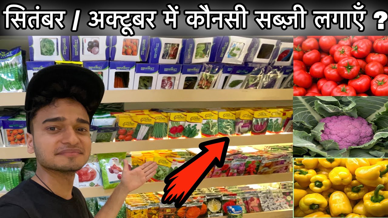 यहाँ मिलेगे Top Quality के Winter Exotic Vegatable Hybrid Seeds and Plants 🌱