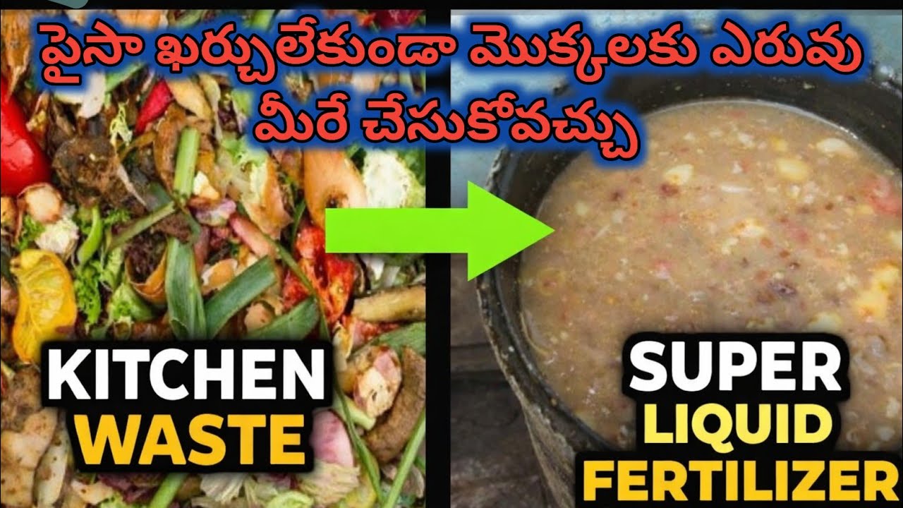 46. Free organic liquid fertilizer for all plants - boost for plants from kitchen waste.