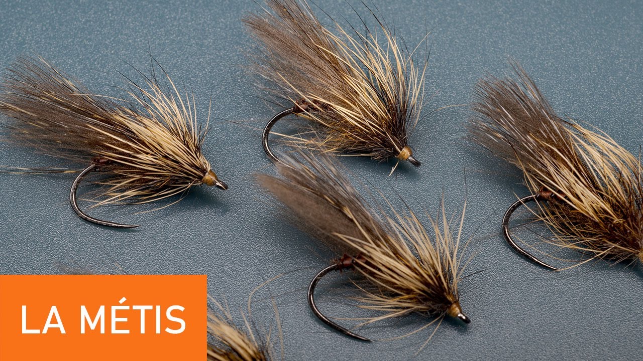 Montage d'une mouche, La Métis
