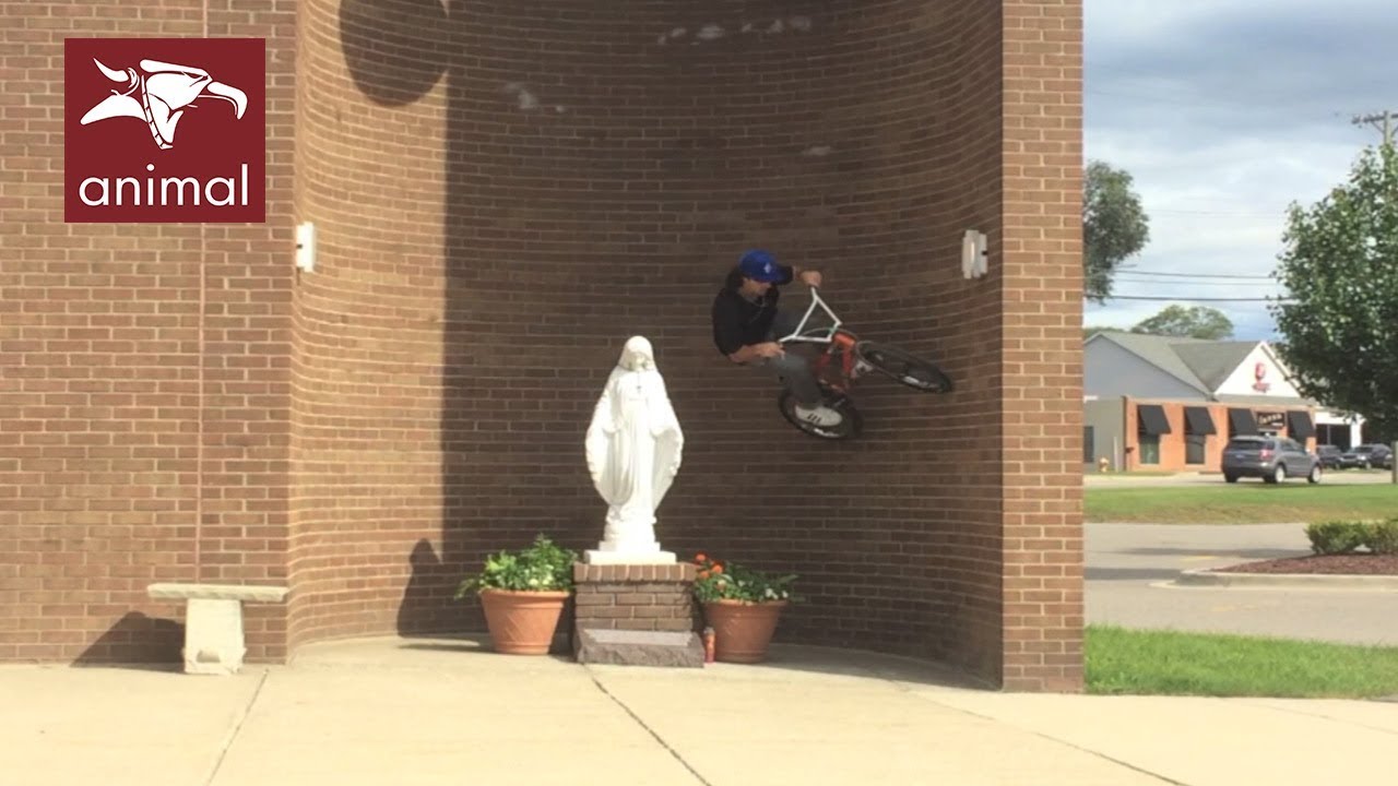 ANIMAL BIKES - STEVEN HAMILTON 2019 (BMX)