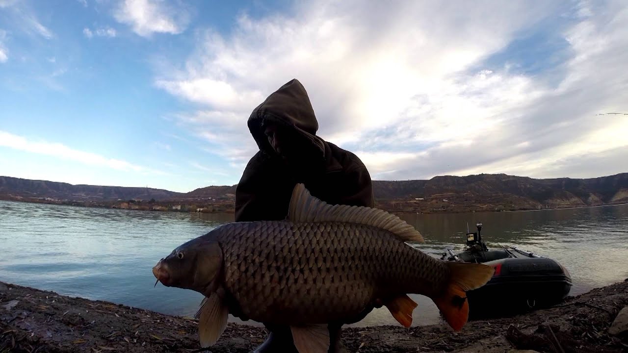 River Ebro 2016 January Part 2
