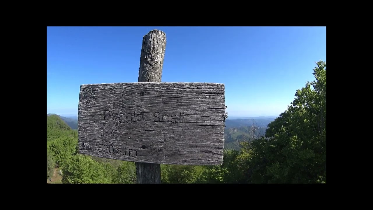 Le Foreste Casentinesi  -  percorso dal Passo della Calla all'Eremo di Camaldoli -