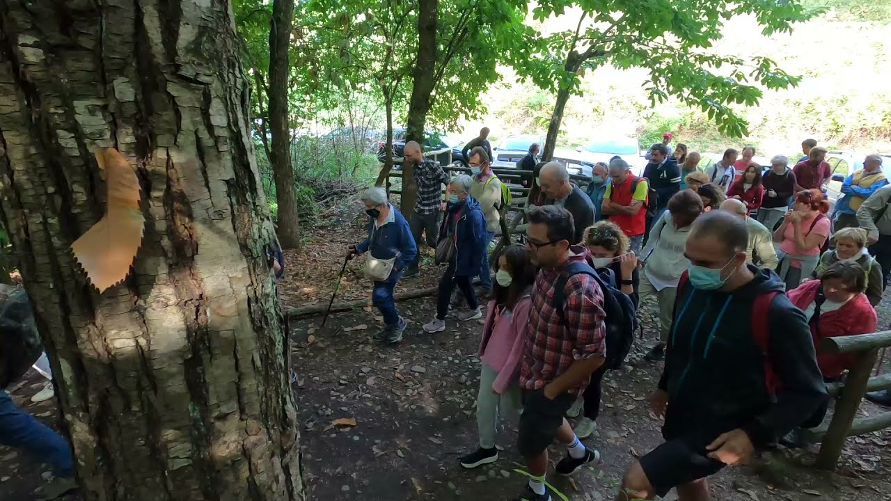 Passeggiata guidata nell'area naturalistica di Monte Pigna (BO)