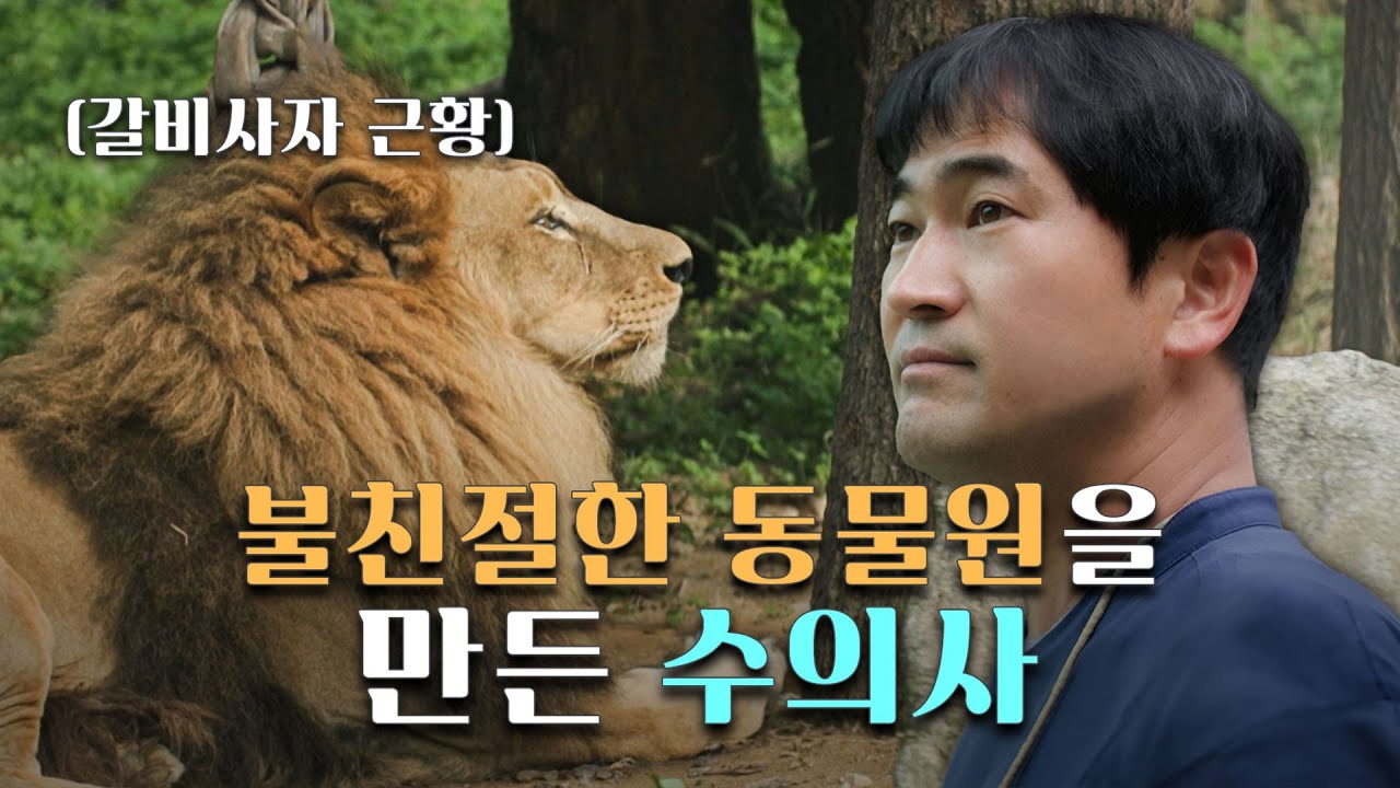 청주동물원 수의사의 '바람'ㅣ인생내컷ㅣ2023년 10월 29일