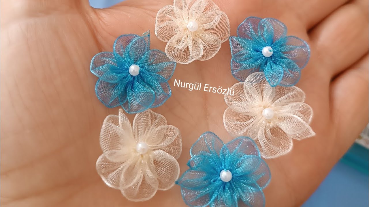İncili papatya modeli