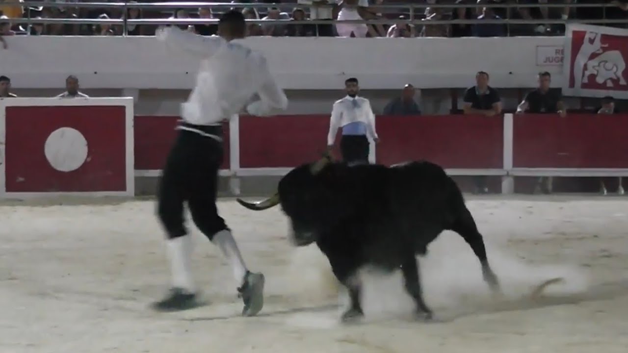 Spectacle de Recortadores Au St Maries De La Mer 22-08-2022🎉🐂