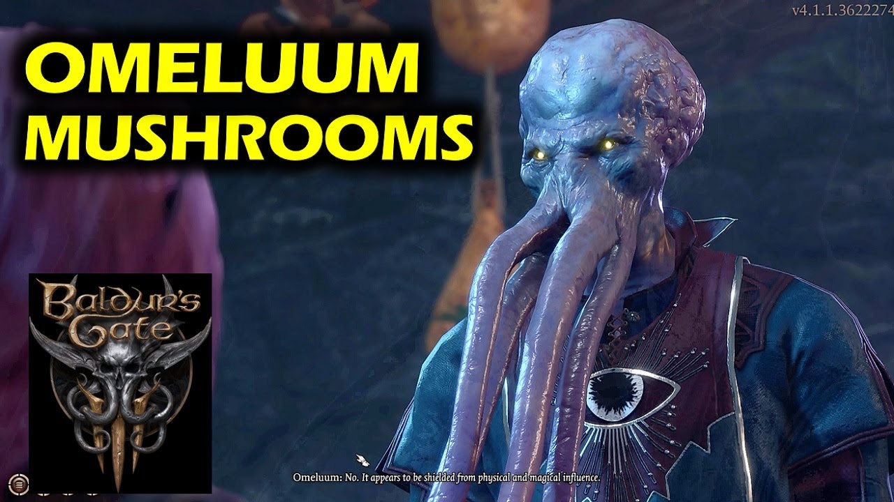 Find the Mushrooms Omeluum Requested: Tongue of Madness, Timmask Spores | Baldur's Gate 3