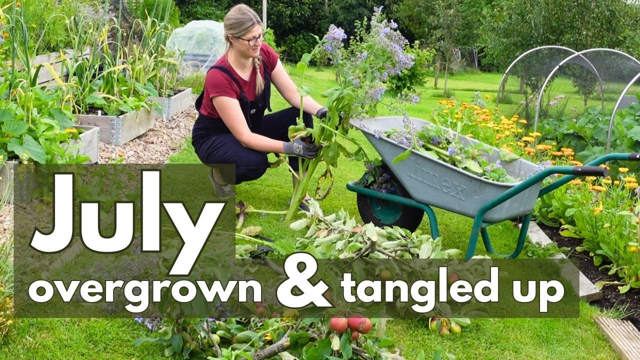 My Garden Got Out of Control! | July Harvest, Pruning & Tidy-Up | Onions and Garlic | Irish Garden