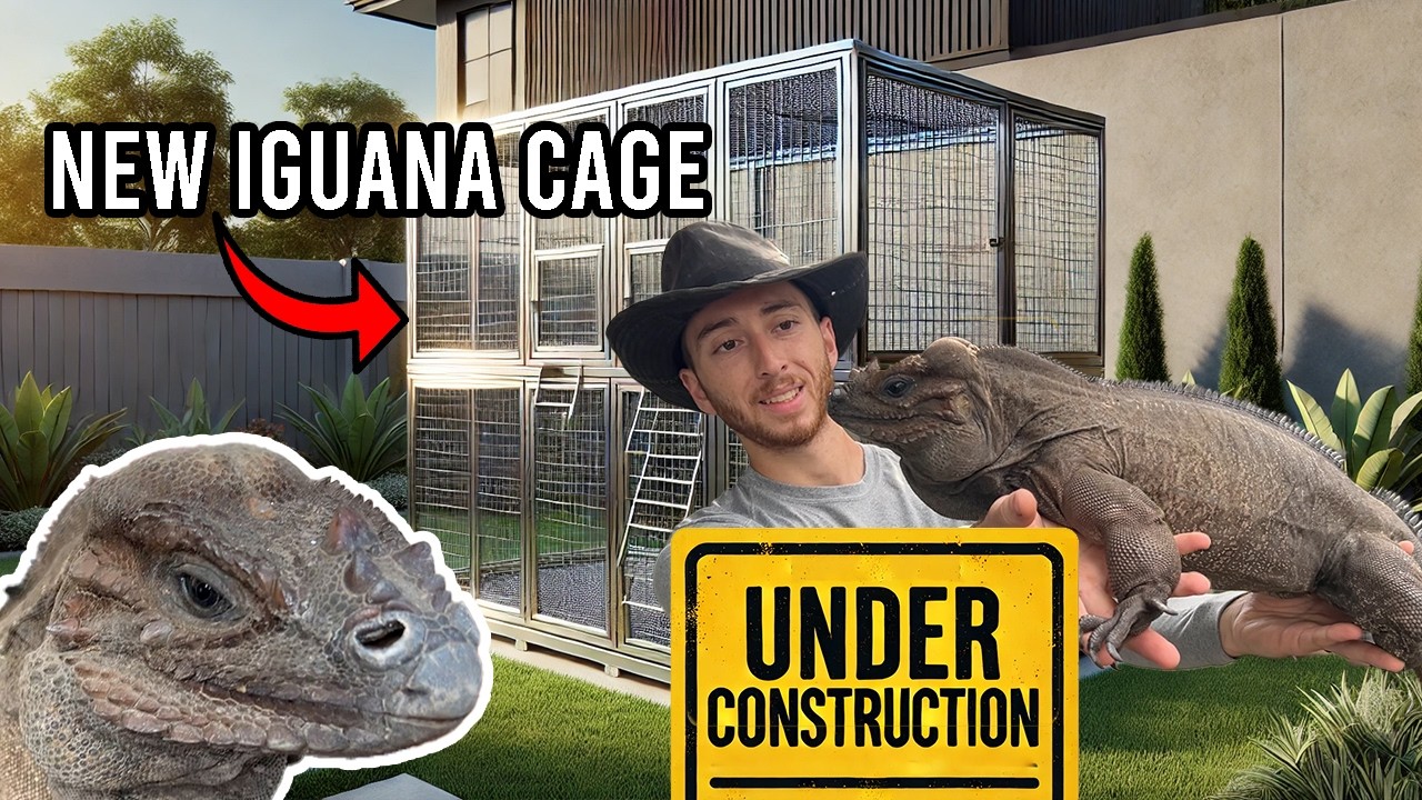 Surprising my Iguanas with a $5,000 Cage!!