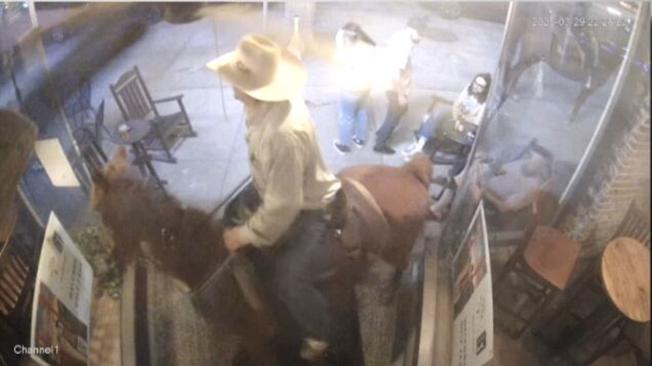 Man riding horse invades downtown Augusta bars
