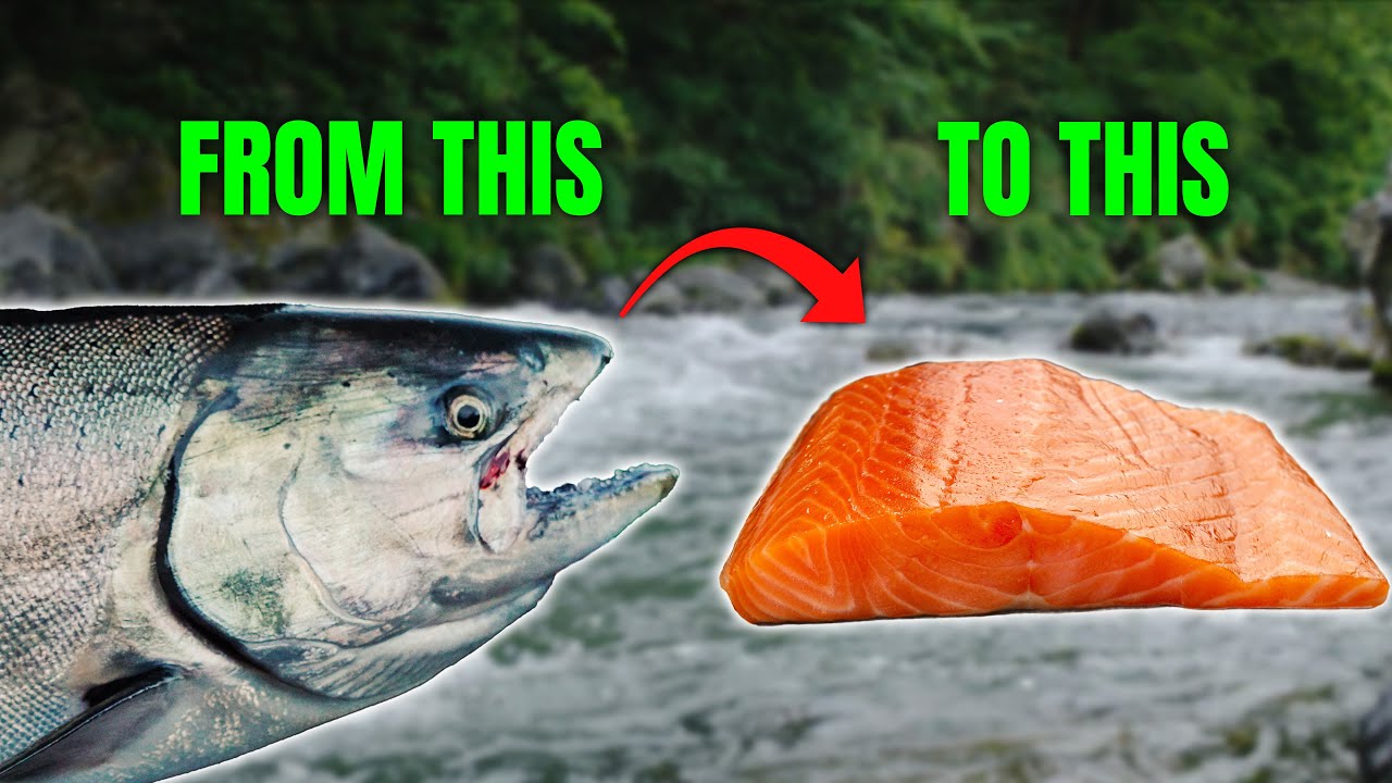 SMALL RIVER SALMON FISHING - Bourbon Maple Smoked Salmon Recipe