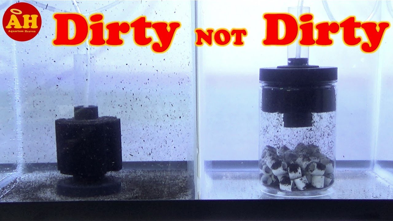 How to DIY Ultimate Sponge Filter