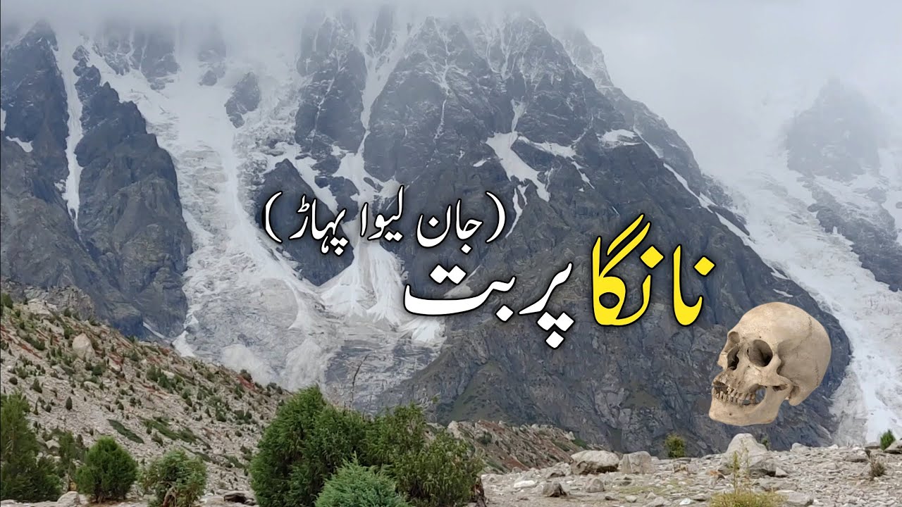 Nanga Parbat Ropal Valley part 2
