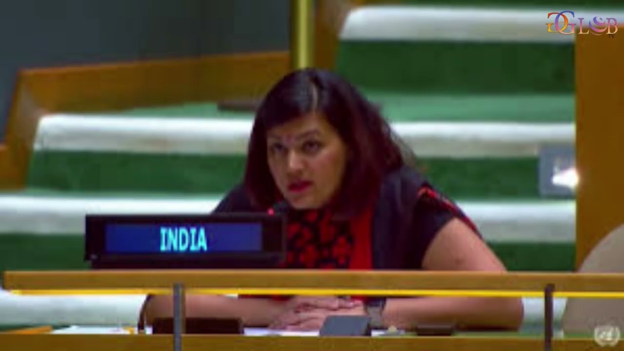 India shoots down Pak PM Shehbaz Sharif's &lsquo;win&rsquo; claim at UN  &lsquo;Destroyed runways, burnt hangars&rsquo;