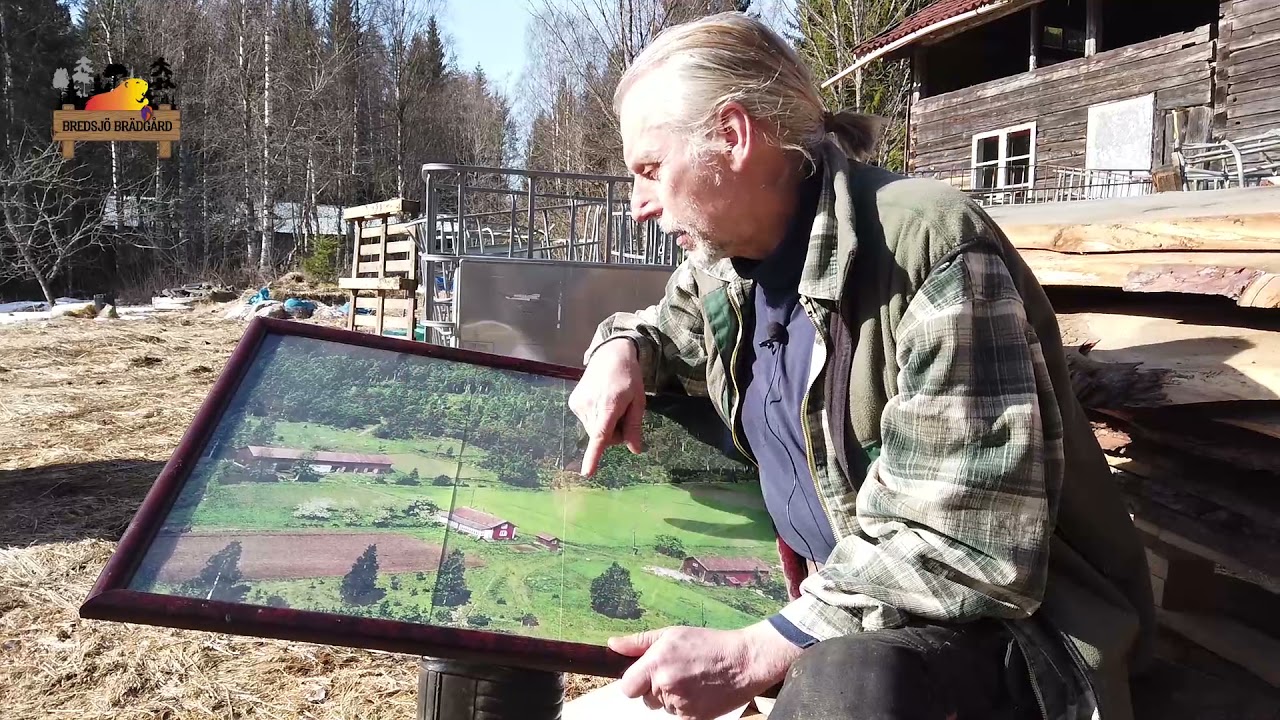 Om ideallandskapet och en skog som inte behöver planteras
