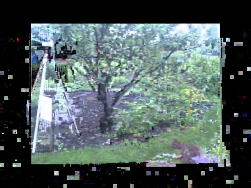 Egeln Garten - Gartenjahr 2013