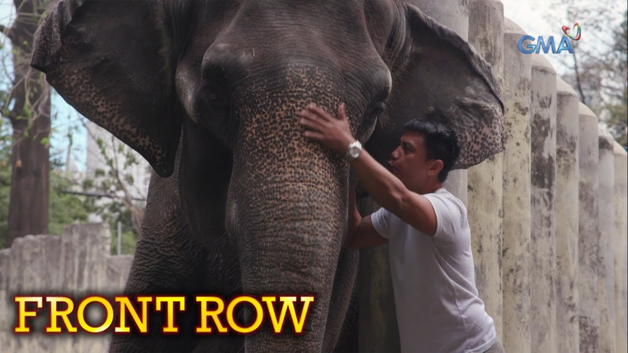 Front Row: Mga pagsubok ng mga zookeeper sa Manila Zoo, alamin!