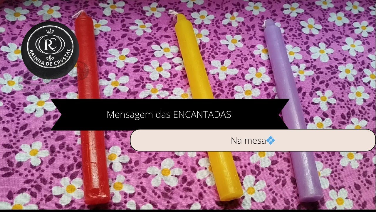 🦩MENSAGEM DAS ENCANTADAS 🦩