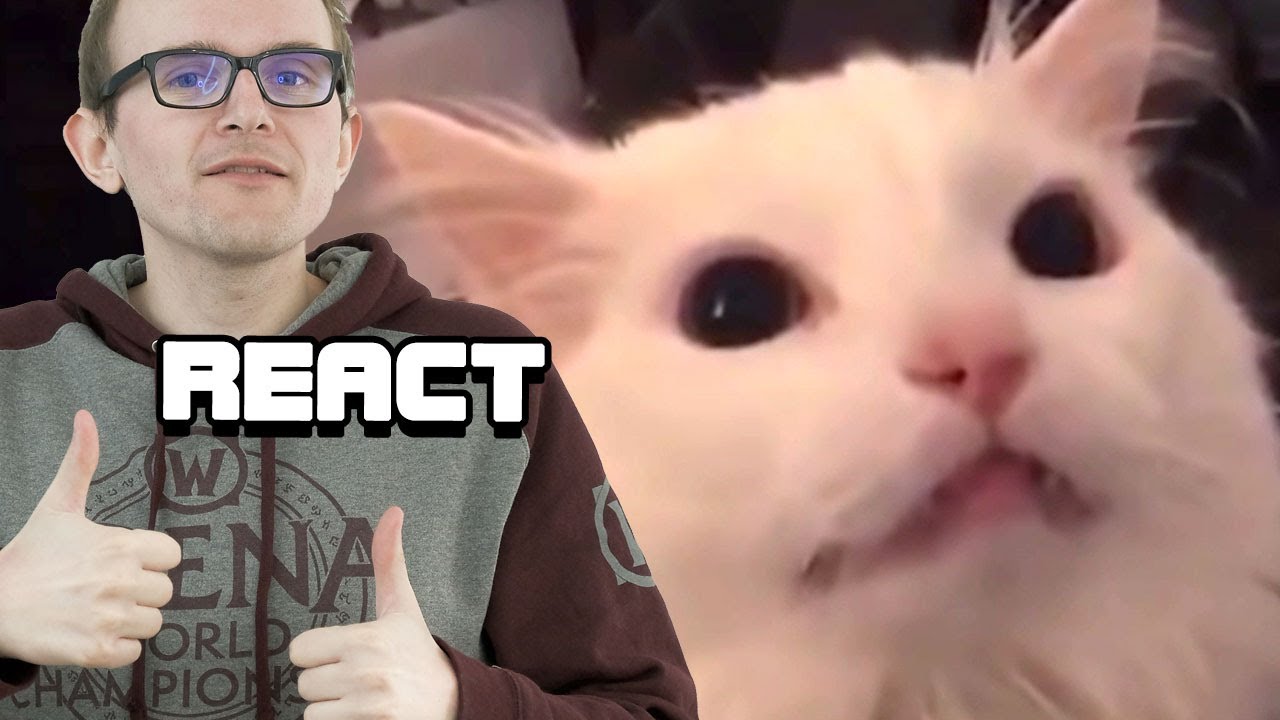React: Unusual Memes V55