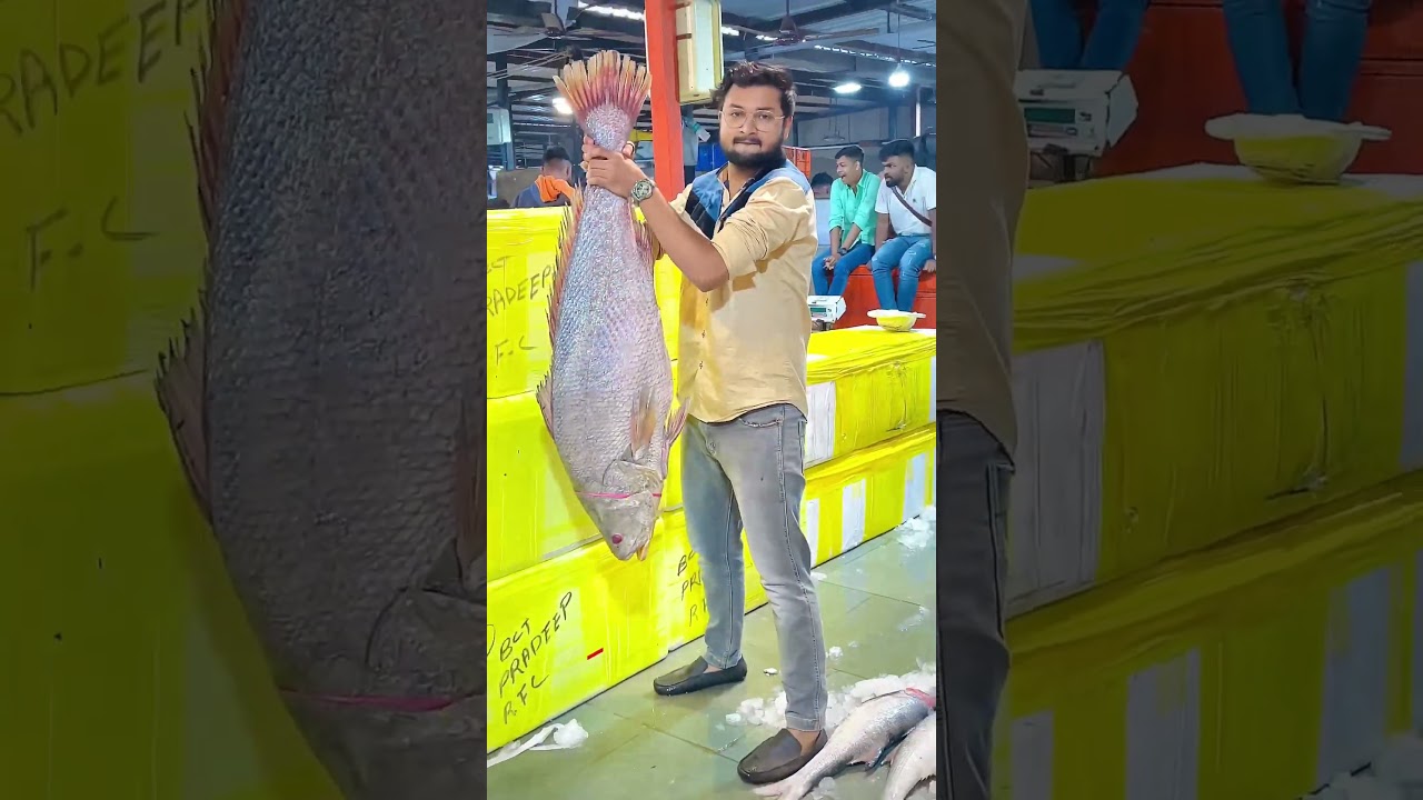 Big Fish mumbai fish market || #fishmarket #cstmarket #trending #viral