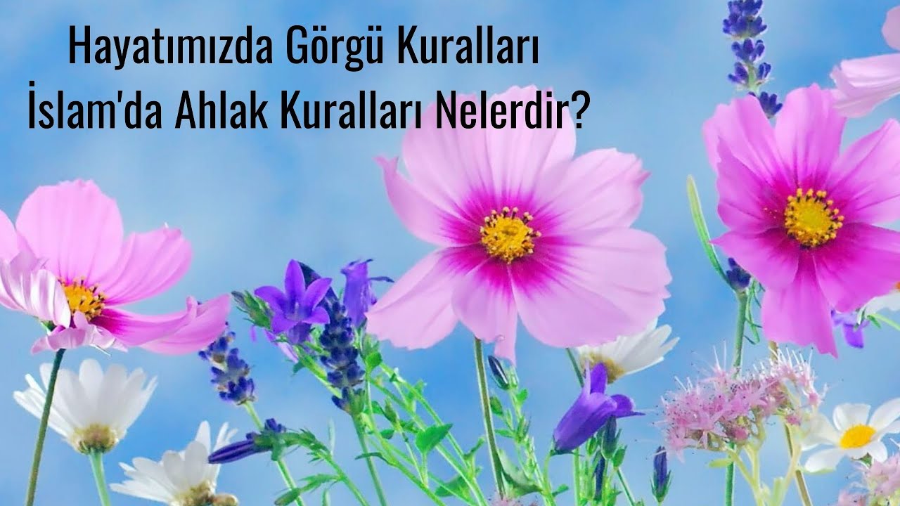 Hayatımızda G&ouml;rg&uuml; Kuralları, İslam'da Ahlak Kuralları