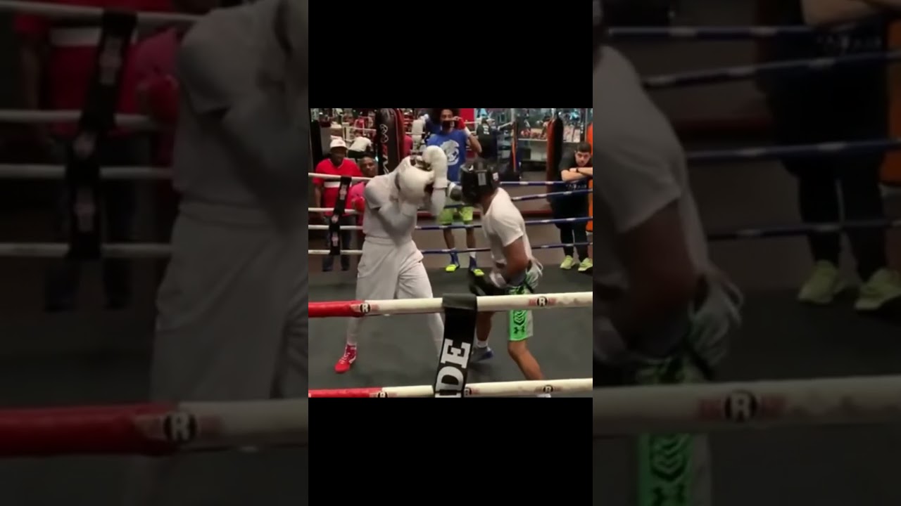 Shakur Stevenson - Sparring | Combo #boxing