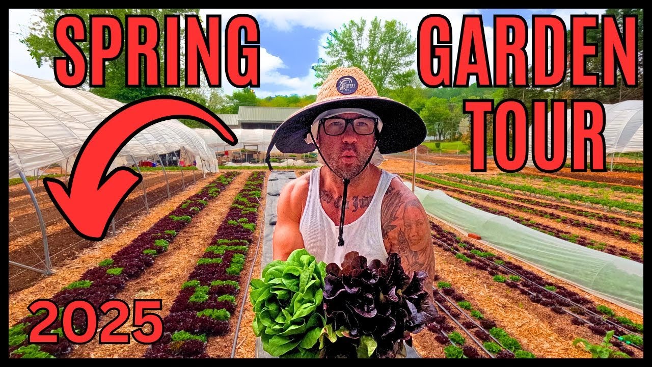 APRIL HARVESTS THAT MAKE $2,500/WEEK ON 1/4 ACRE OF LAND!