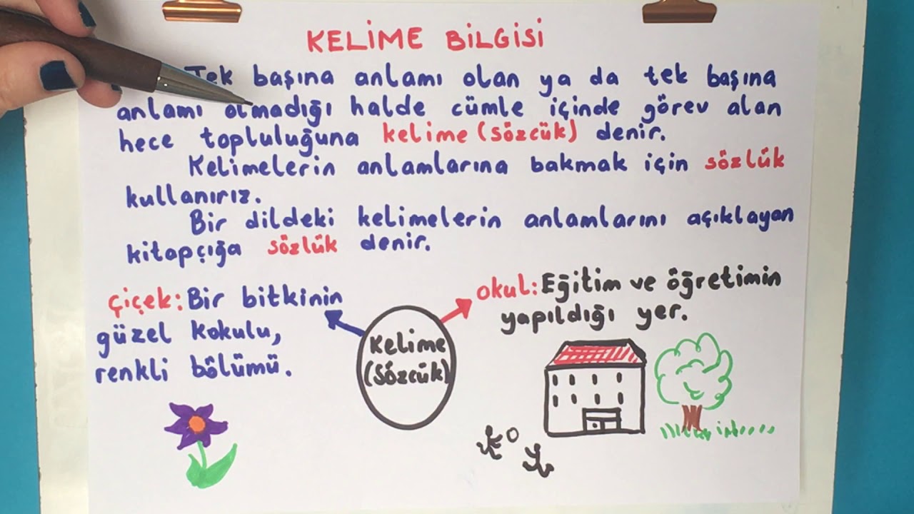 KELİME BİLGİSİ