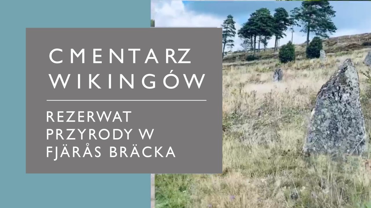 Cmentarzysko Wikingów! Szlak dydaktyczny 4km w Fjärås Bräcka - Szwecja (Volog #1)