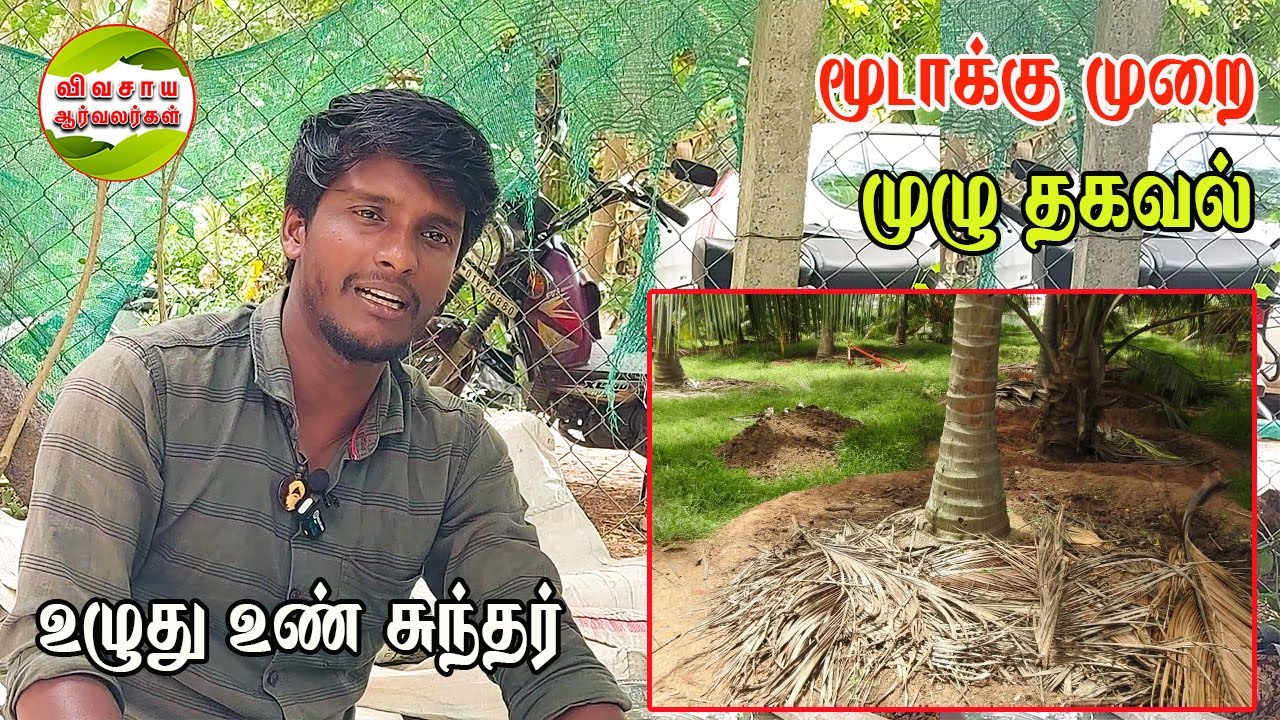 சும்மா காய்ந்த இலைகளை அல்லி போட்டால் மூடாக்கு முறை இல்லை|முழு தகவல் உள்ளே #vivasayaarvalargal