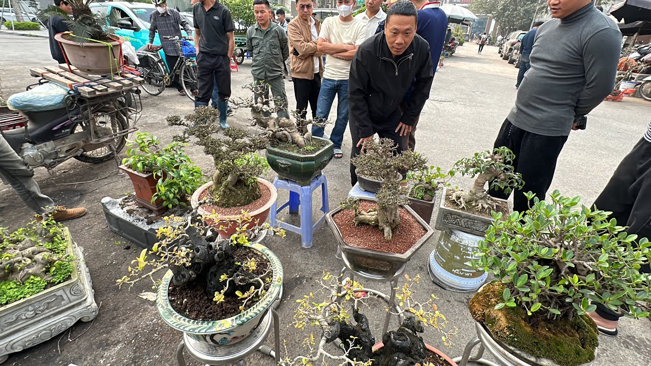 SỐT CÂY RỒI, GIAO DỊCH CHÓNG MẶT CHỢ VẠN PHÚC, KHÁCH RA ĐÒN LÀ DŨNG GỤC LUÔN