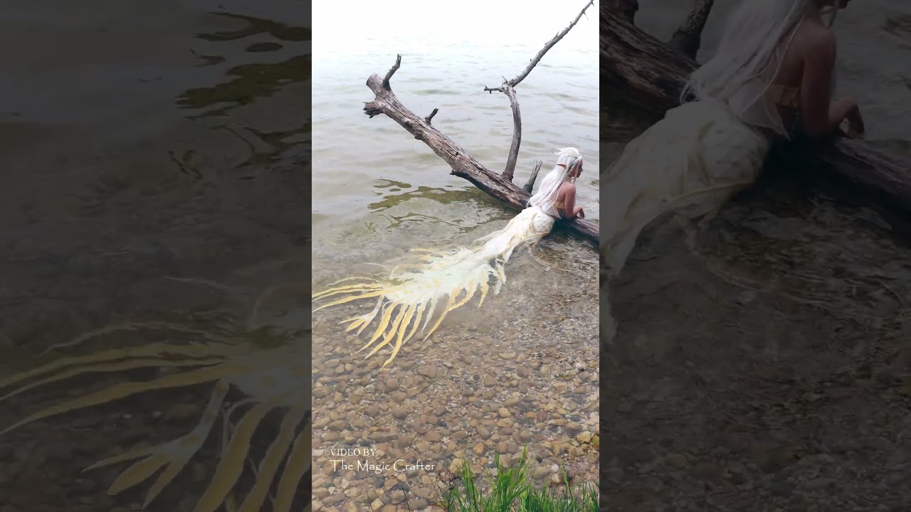 The dragon mermaid rests in the water (white dragon mermaid)