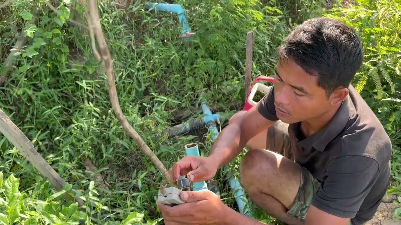 We are planting mango trees in our garden today