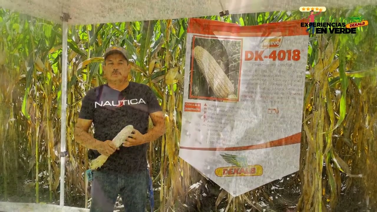 Experiencias En Verde Occidente: Juan Manuel Buenrostro, DK-2037&reg; y DK-4018&reg;, 2021