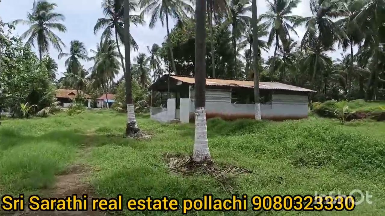 6 ஏக்கர் தென்னை சூலக்கல் ஏரியா