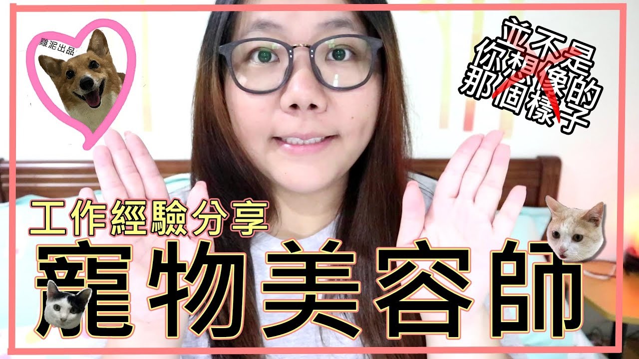 【工作分享】寵物美容師 || 陪寵物玩就好??被咬是應該的??我的狗怕洗澡是不是被打?? || 六年的工作心得分享 || 雞泥Genie'sLife