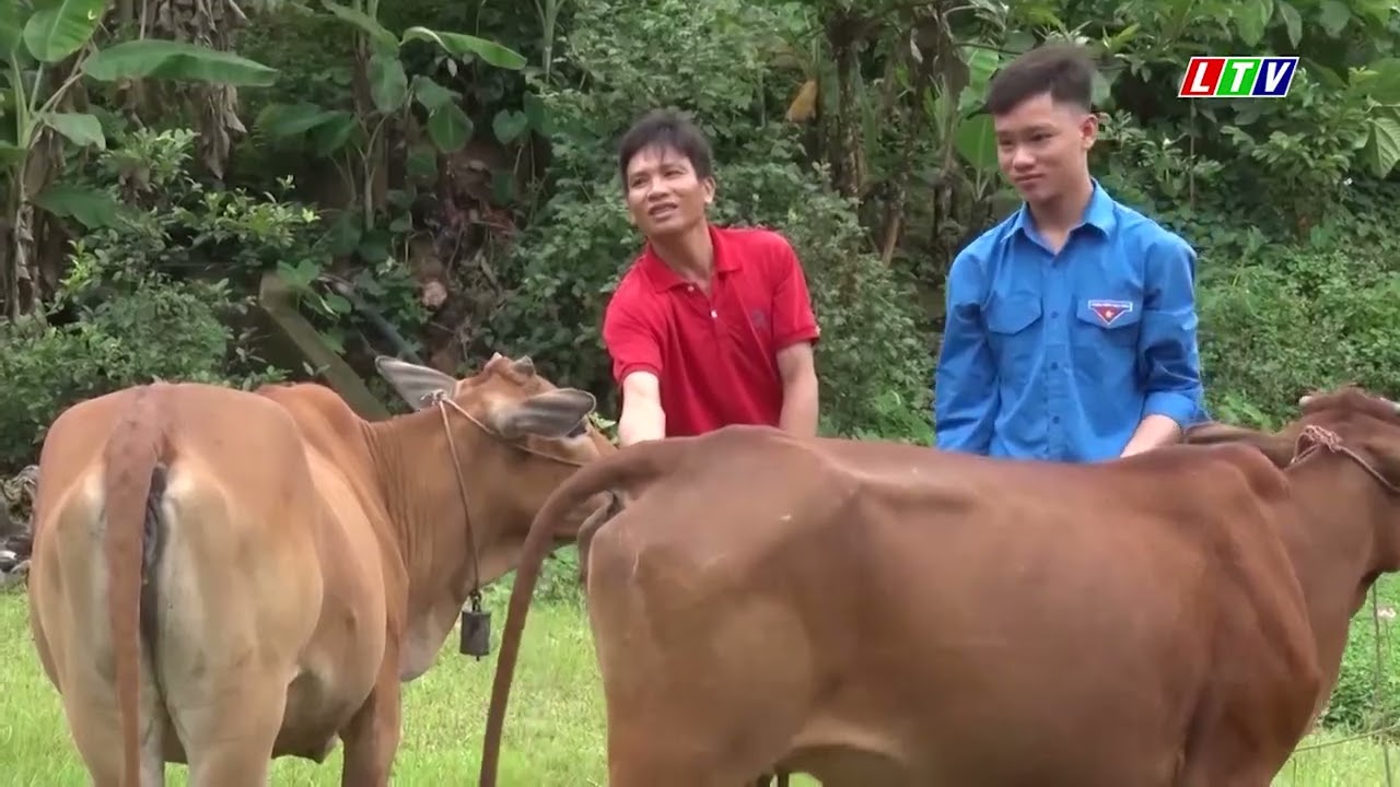 HIỆU QUẢ TỪ PHÁT TRIỂN CHĂN NUÔI TẬP TRUNG