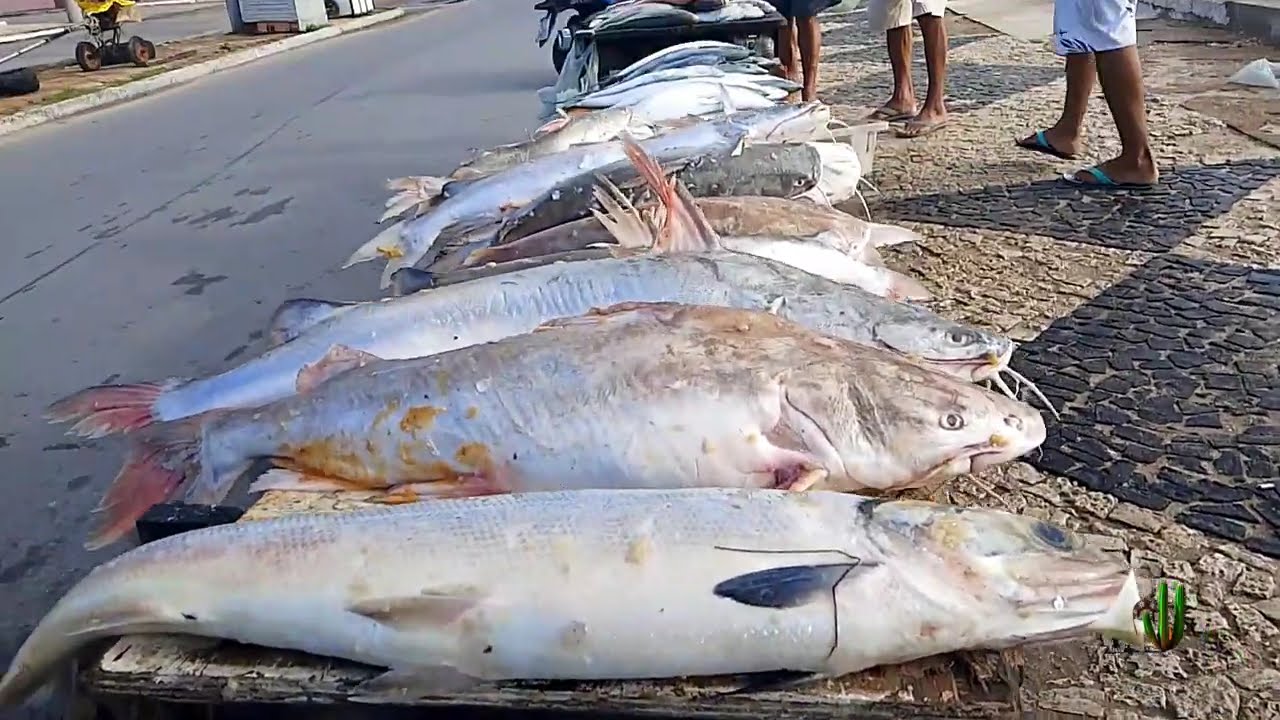 Beira mar de Camocim Ceará, sua gente, seus costumes, sua cultura #turismo #brazil #nordeste #mar