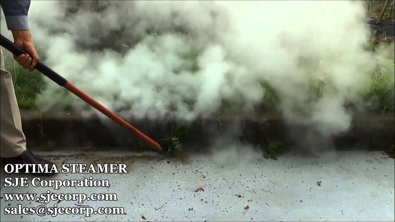 Innovative Weed Removal Machine (Weed Control, Weeding) Sidewalk Weed Part 2