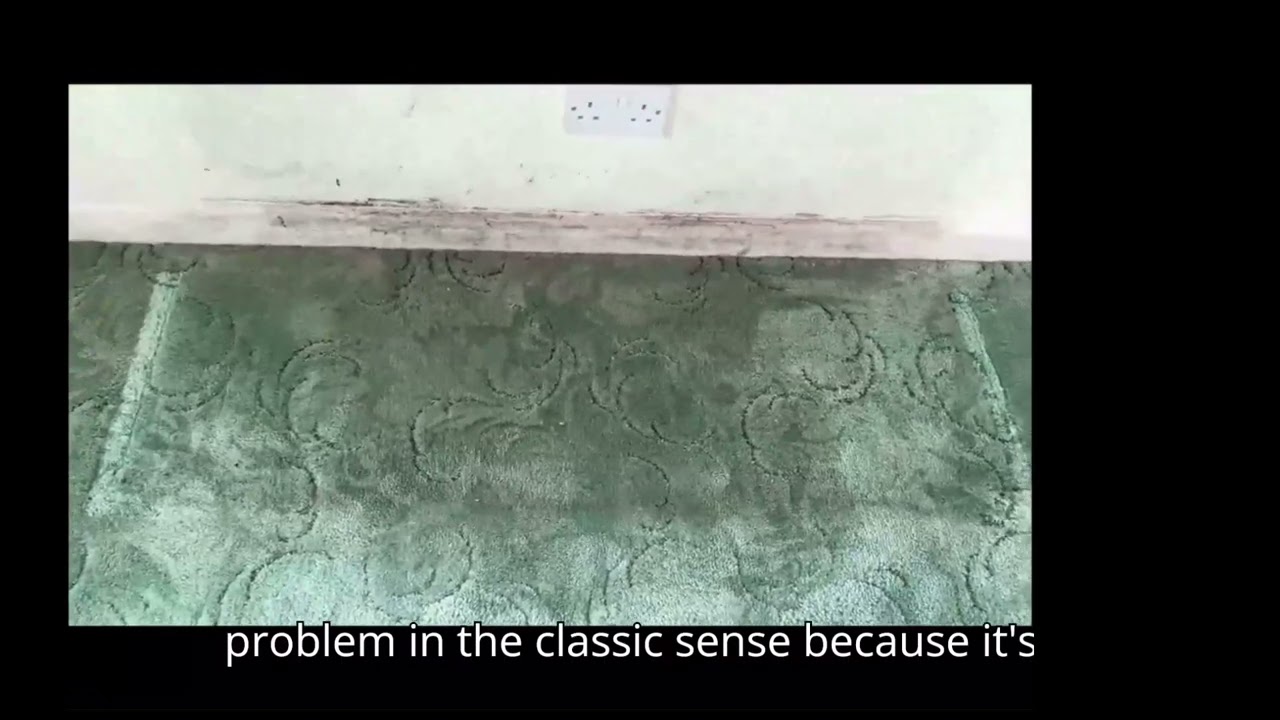 Level 2 Survey - Common damp and mould issues
