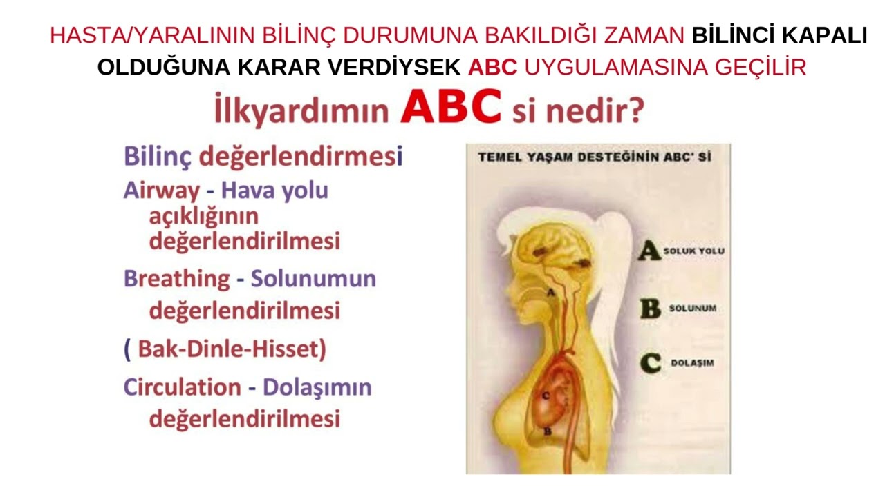 10. Sınıf ilk yardım uygulamaları Dersi 1. Dönem 1. Sınav Çalışma Soruları