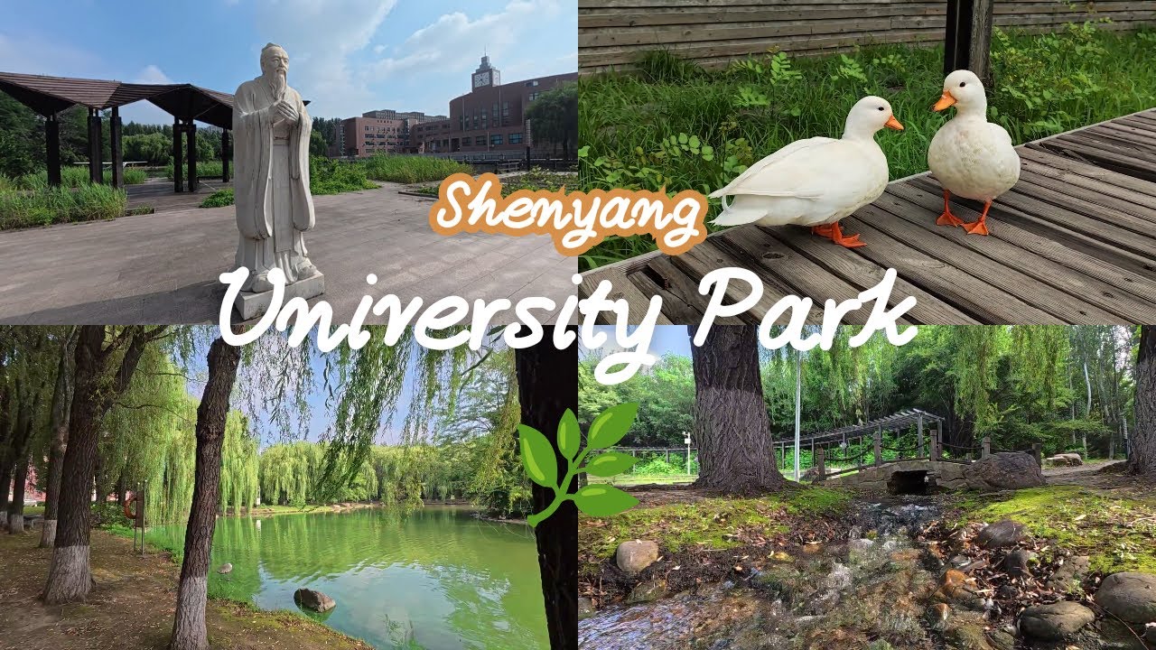 University Park | Shenyang Aerospace University 🍃